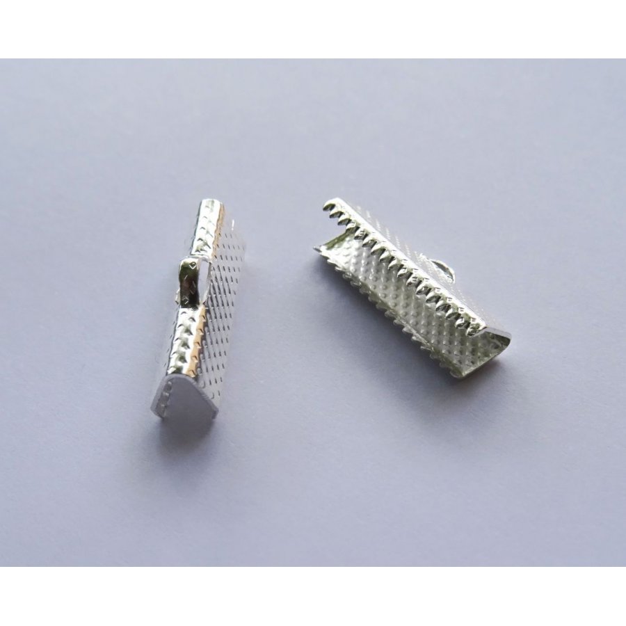 Puntas de pinza plata 20 mm x 2