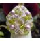 Kit bague  Bounty Rose Olivine