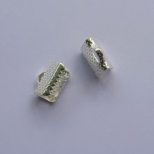 Puntas de pinza plata 10 mm x 2